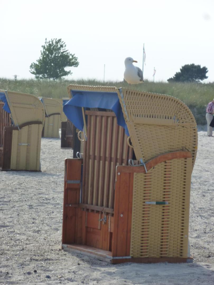 Traumhafter Ostsee-Ausblick, Fewo Direkt Am Strand Fehmarn Buitenkant foto